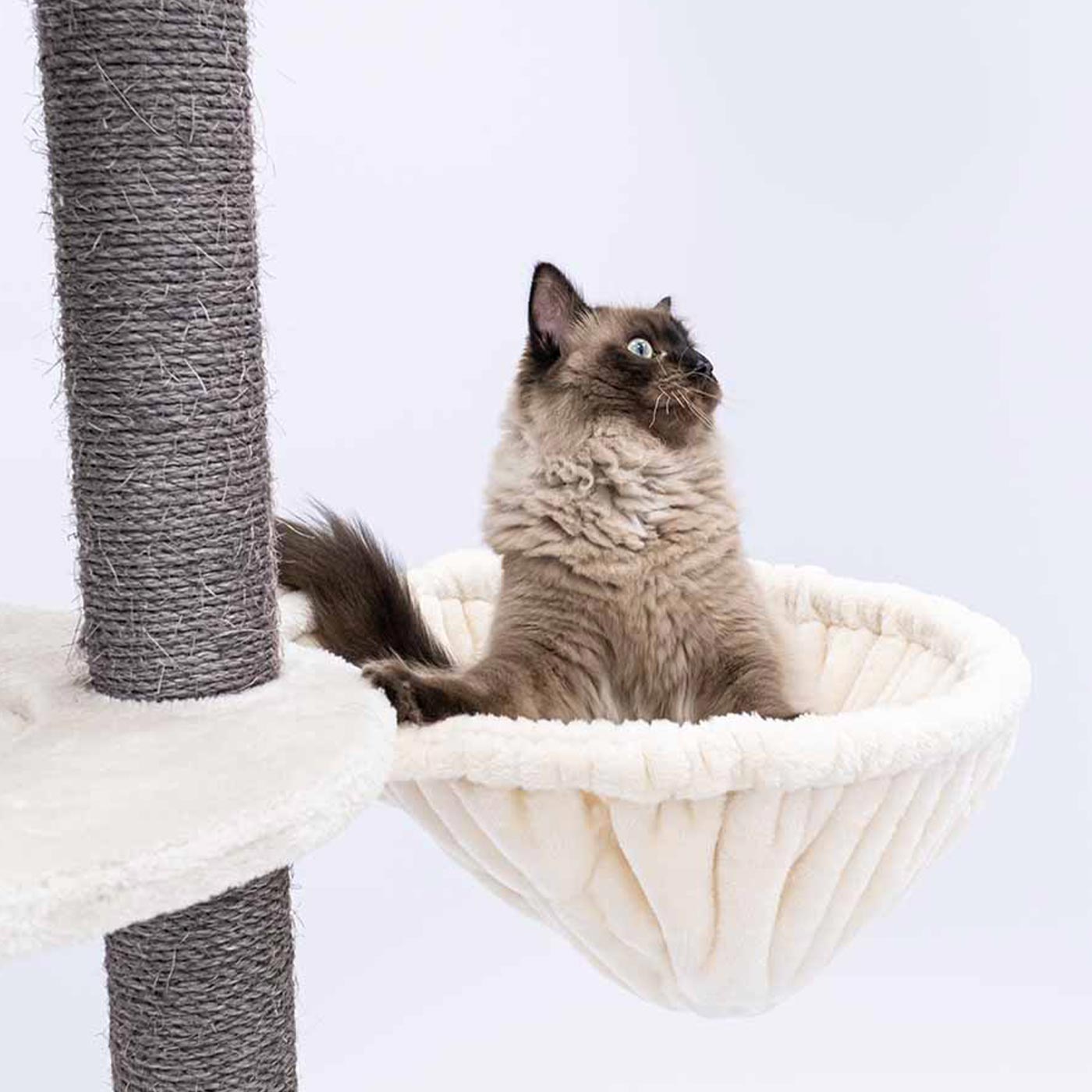 PetRebels Luxury Hammock Sleeper Round