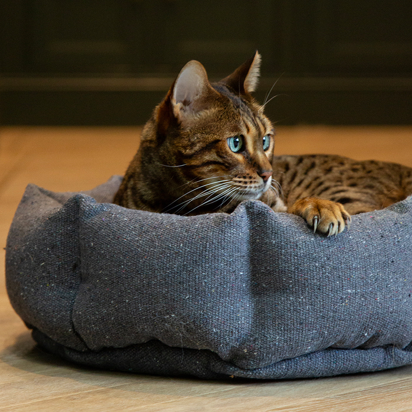 Scruffs 100% Recycled Charcoal Grey Eco Eden Cat Bed