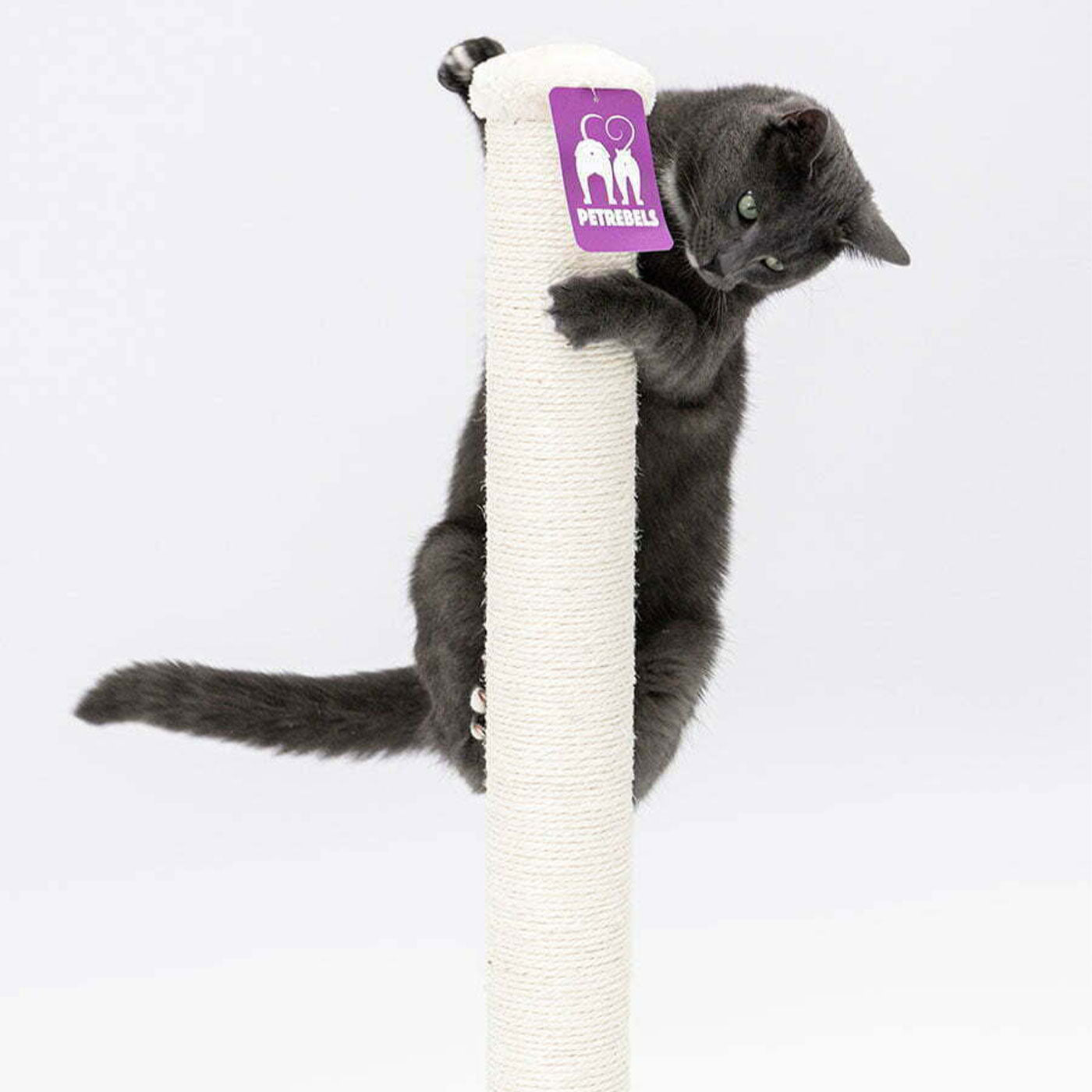 Little Rebels Maine 90cm Cat Tree