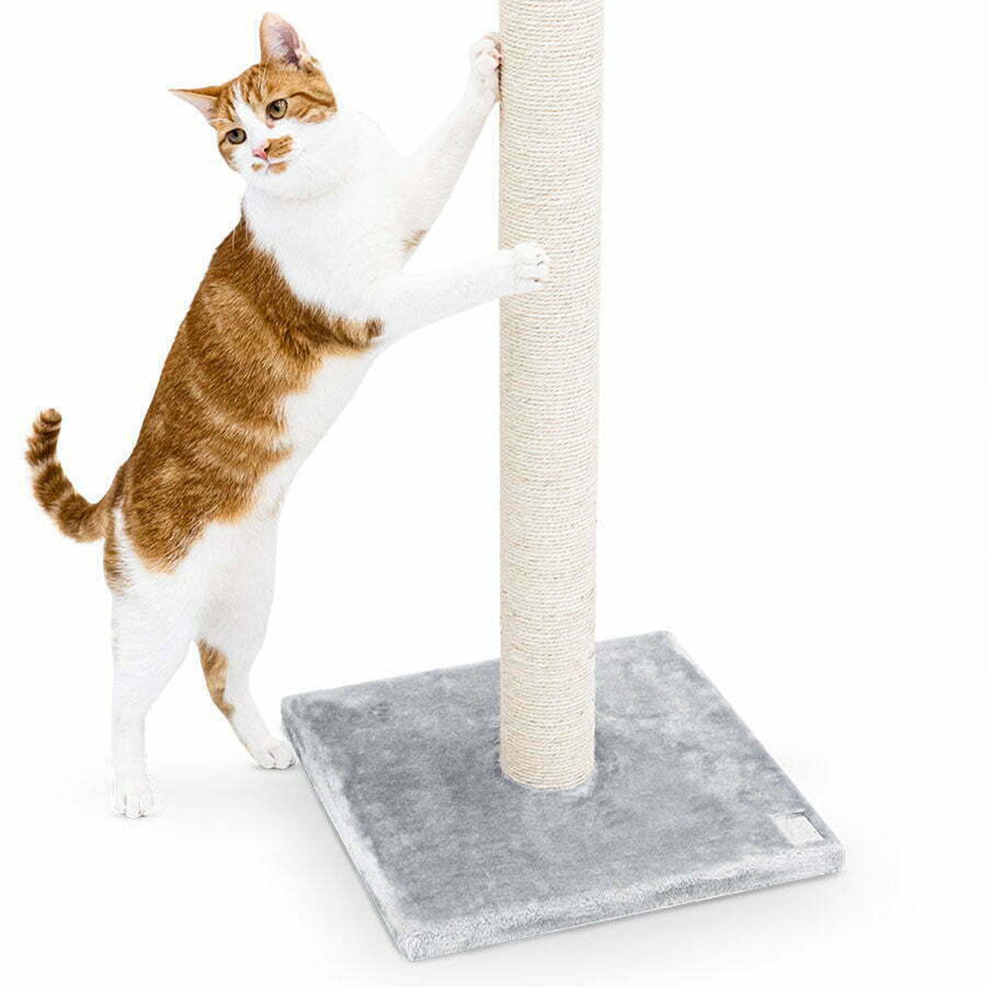 Little Rebels Maine 90cm Cat Tree