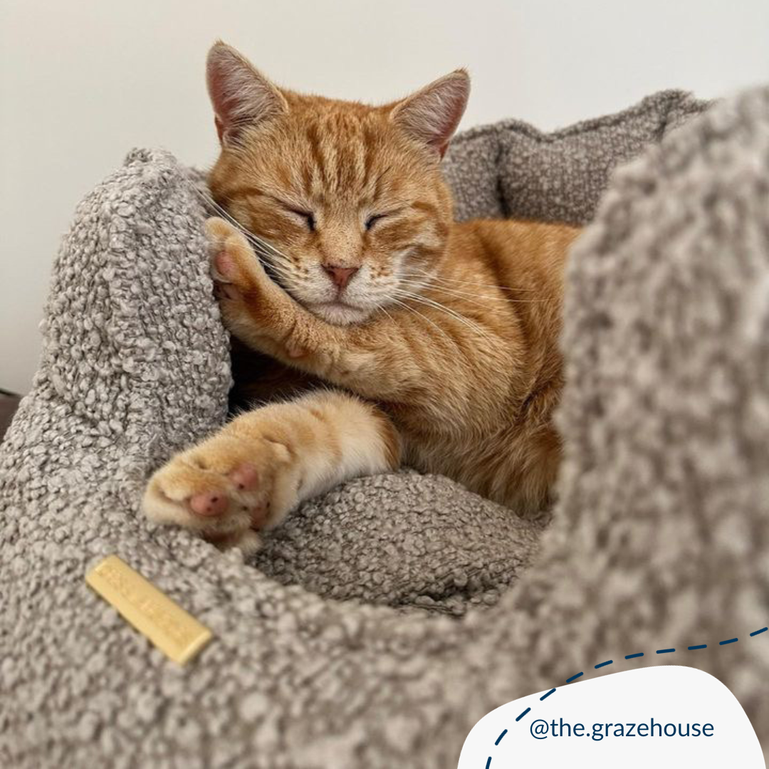 High Wall Bed For Cats With Removable Covers in Bouclé by Lords & Labradors