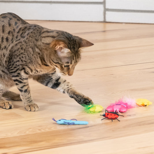 The Top 5 'Pawsome' Toys to Tame Your Tiny Tiger's Energy