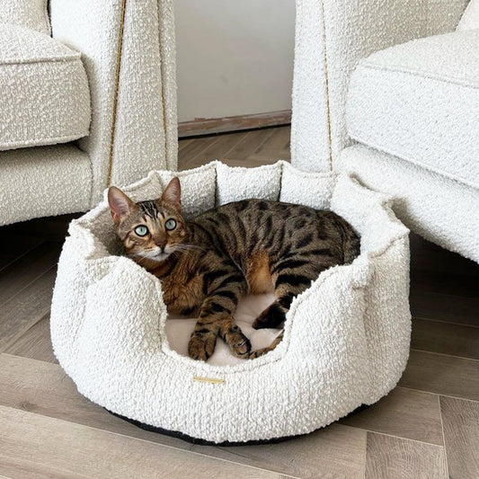 High Wall Bed For Cats With Removable Covers in Bouclé by Lords & Labradors