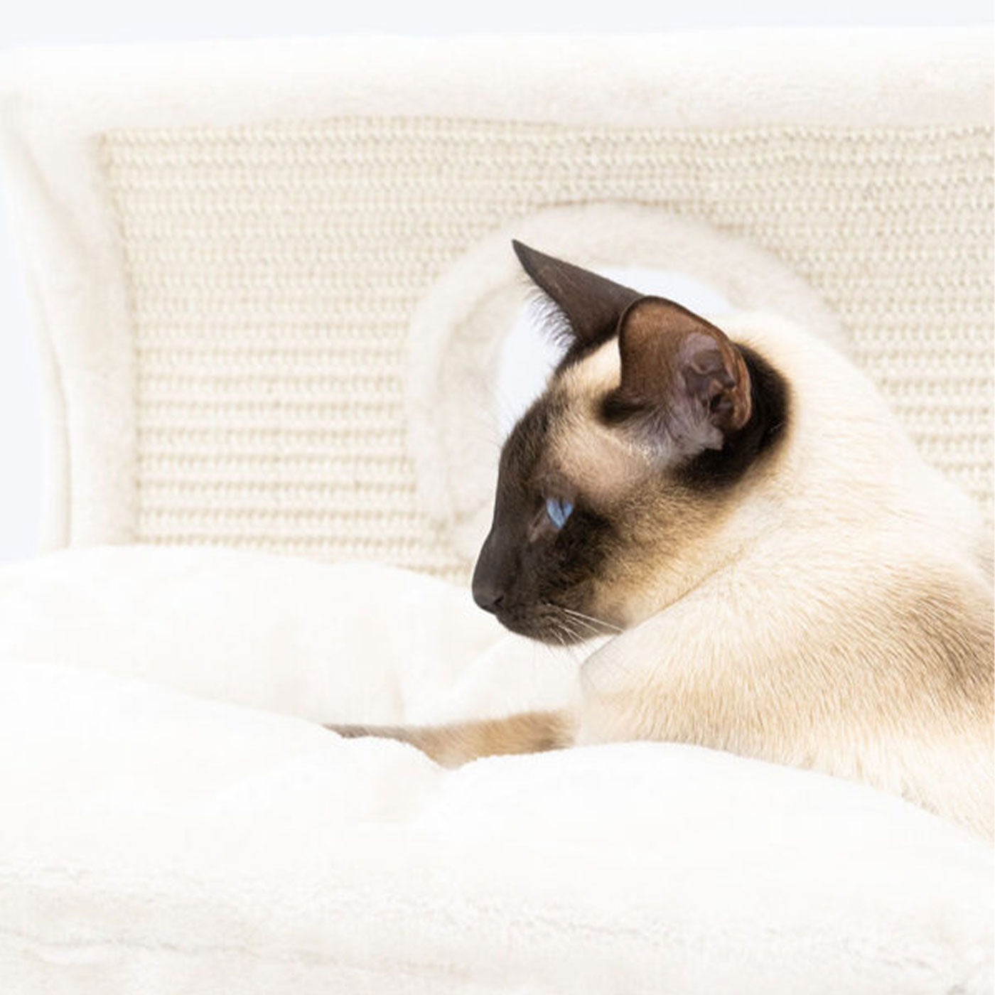Little Rebels Denver 50cm Cat Bed